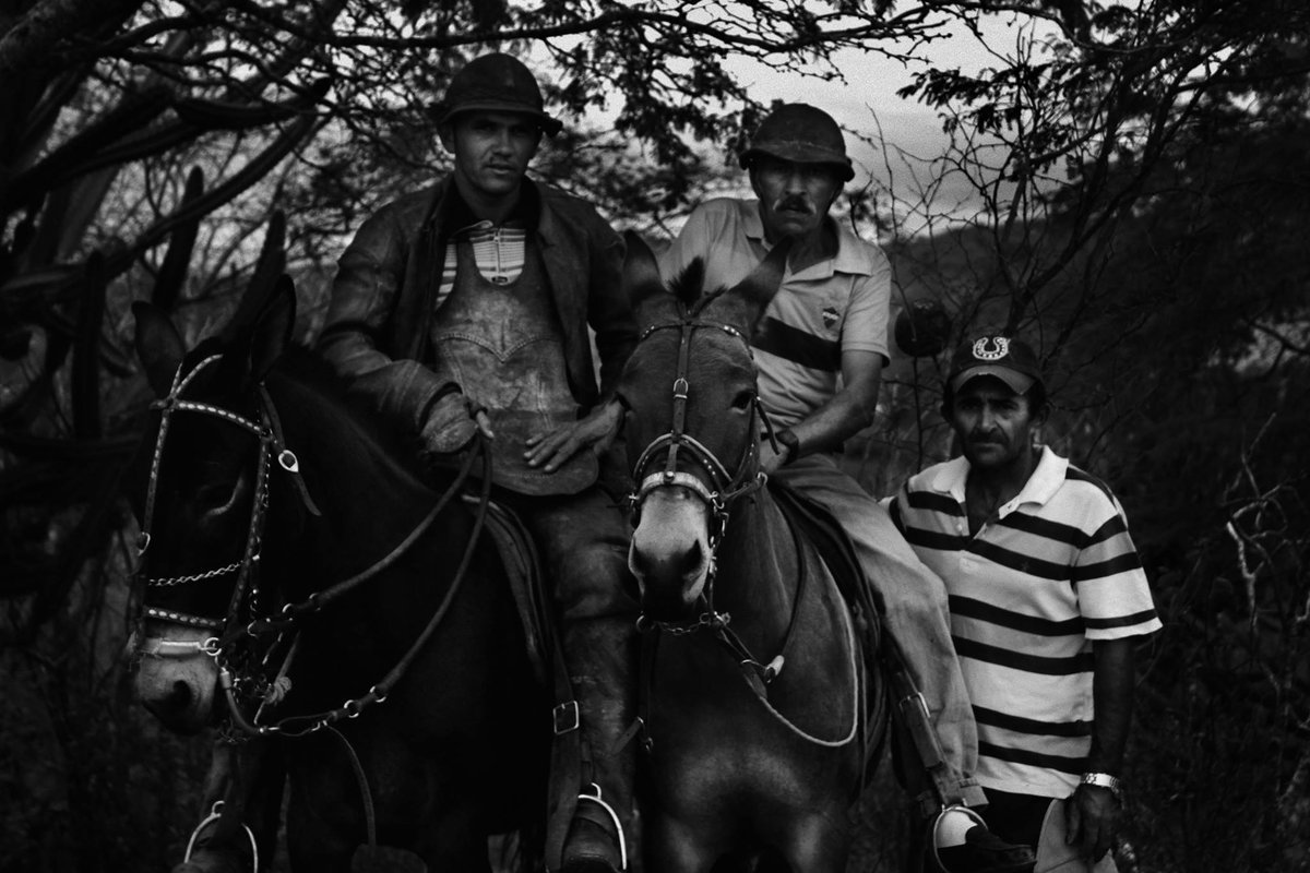 Vaqueiros reunidos no Sítio Tibiri.